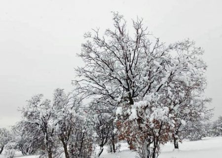 روستاهای کوهستانی مازندران سفیدپوش شد