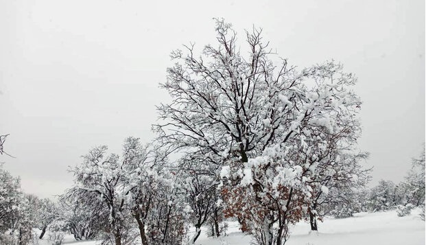 روستاهای کوهستانی مازندران سفیدپوش شد