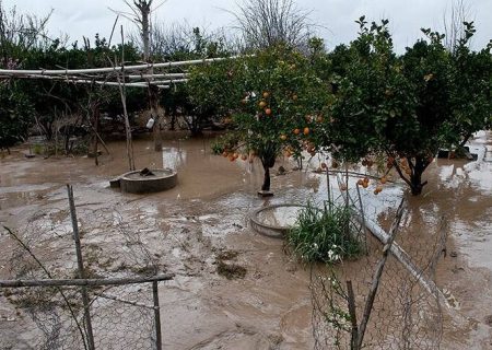 ۱۰۰ واحد مسکونی غرب مازندران دچار آبگرفتگی شدند