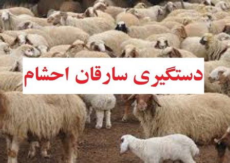 دستگیری باند سارقان احشام در محمودآباد 