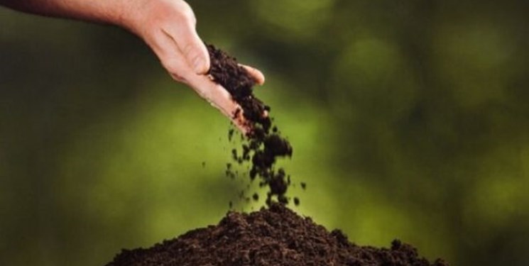 هشدار برداشت خاکهای جنگلهای هیرکانی/ ندانسته سبب تخریب جنگلها نشویم