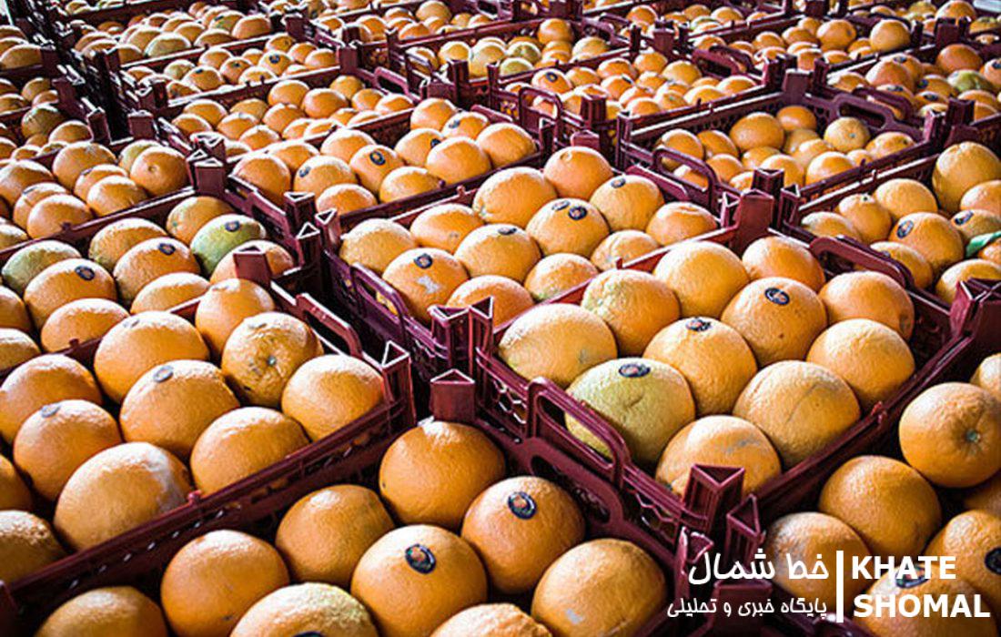 ۱۶۰ هزار تن مرکبات صادر شد/ خرید میوه شب عید در مازندران