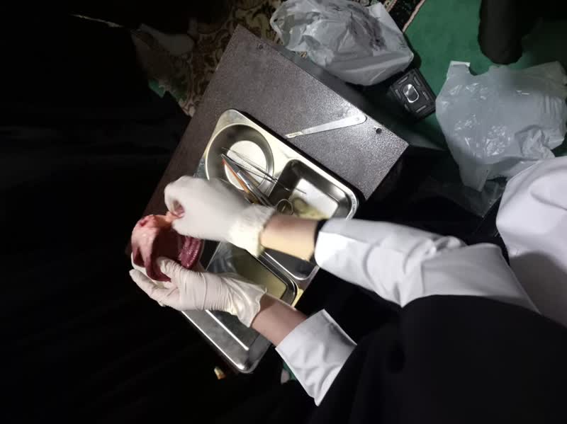 برگزاری آزمایشات علمی در راستای توانمند سازی پایگاههای بسیج و مساجد در محمودآباد