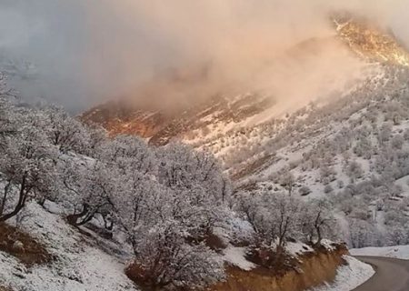 یخبندان در ارتفاعات/ آسمان مازندران بارانی می‌شود