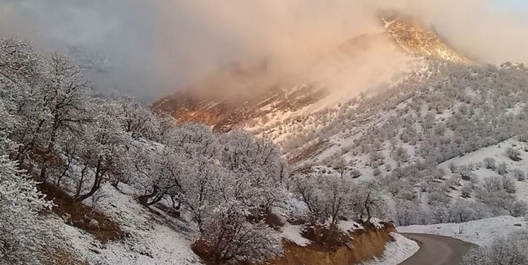 یخبندان در ارتفاعات/ آسمان مازندران بارانی می‌شود