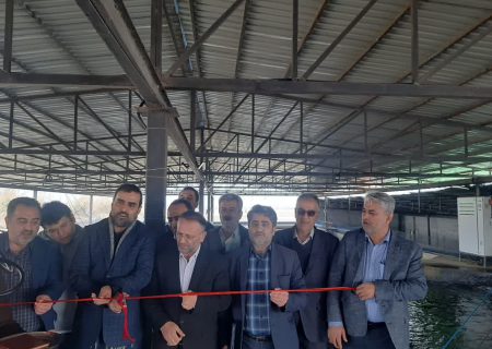 افزایش ۴۴ درصدی صید ماهی استخوانی به ارزش اقتصادی ۲۶۰ میلیارد تومان در دریای مازندران