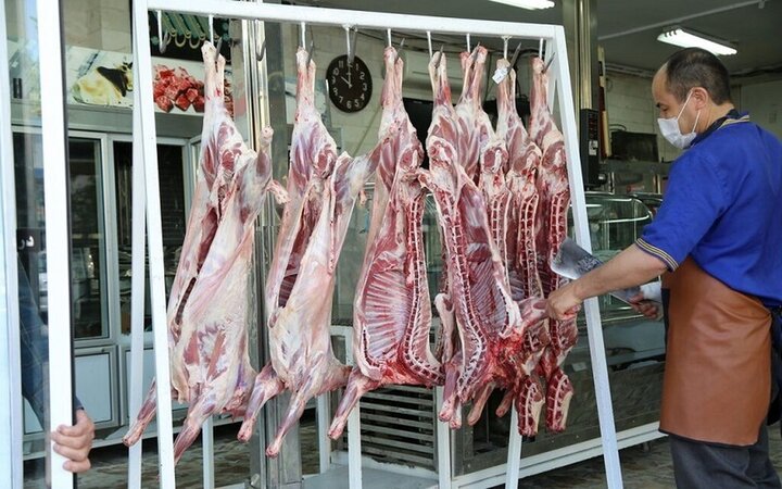 گوشت قرمز گرم در مازندران توزیع میشود