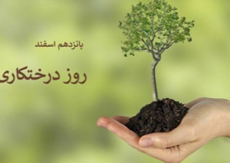 15 هزار اصله نهال توسط دانش آموزان محمودآبادی کاشته می‌شود