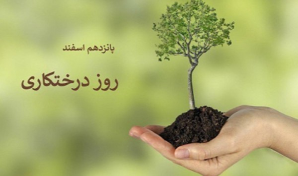 15 هزار اصله نهال توسط دانش آموزان محمودآبادی کاشته میشود