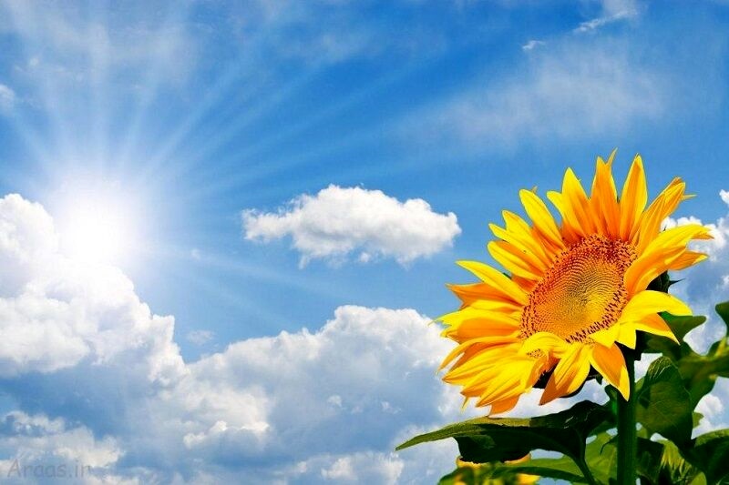 پیشبینی آسمانی صاف طی روزهای پیشرو در مازندران