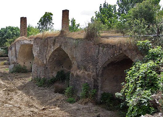 ثبت ۱۳۵ اثر مازندران در فهرست ملی معنوی کشور/ انتقال میراث کهن به نسل آینده از مهمترین هدف‌ها برای حفظ این آیین‌ها است