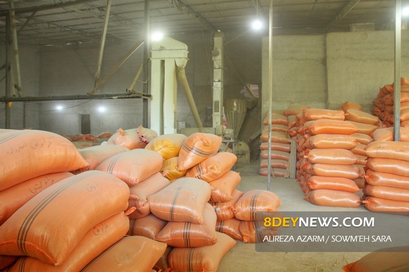 ظرفیت ۱۰ میلیون تنی تجارت کالا در مازندران/ برنج صادر میشود