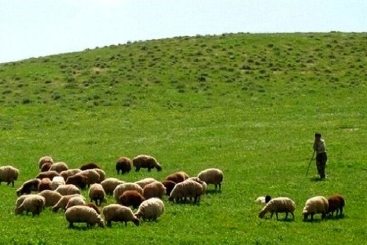 ۳۰ درصد مراتع مازندران با تنش شدید آبی روبرو هستند