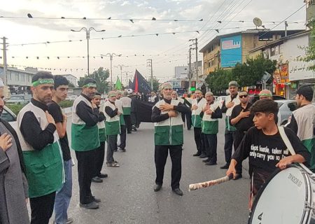 عزاداری خادمیاران رضوی در محمودآباد