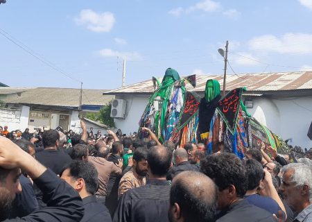 برپایی نخلگردانی اورطشت در تاسوعای حسینی