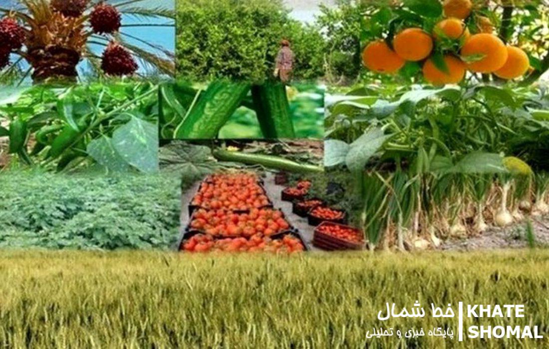 اجرای چهار پروژه مشارکتی کشاورزی در راستای ترویج و توانمندسازی بهرهبرداران بخش کشاورزی