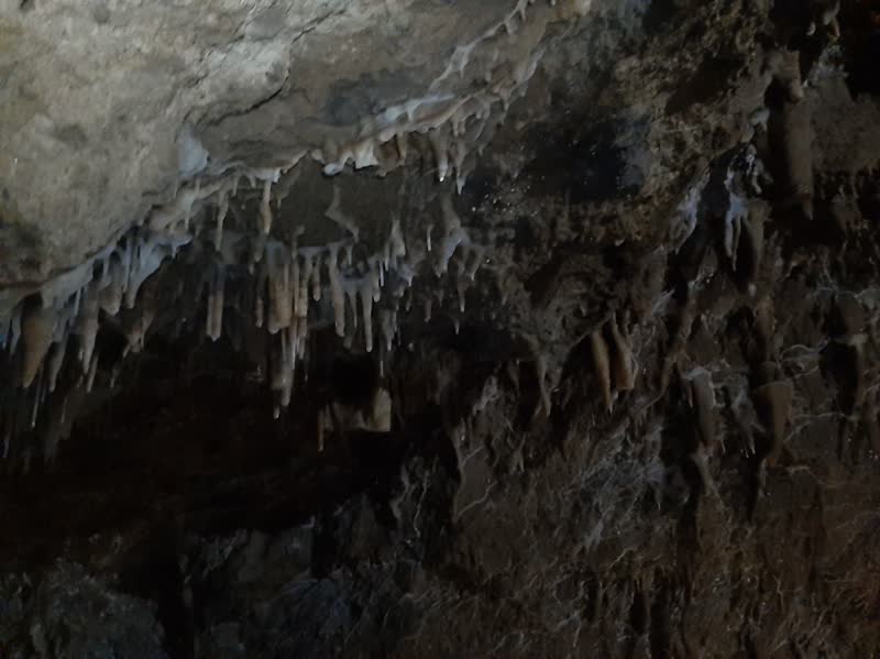 غار گل زرد پلور؛ اثری شگفتانگیز در پای دماوند/ قدمت غار مشخص نیست