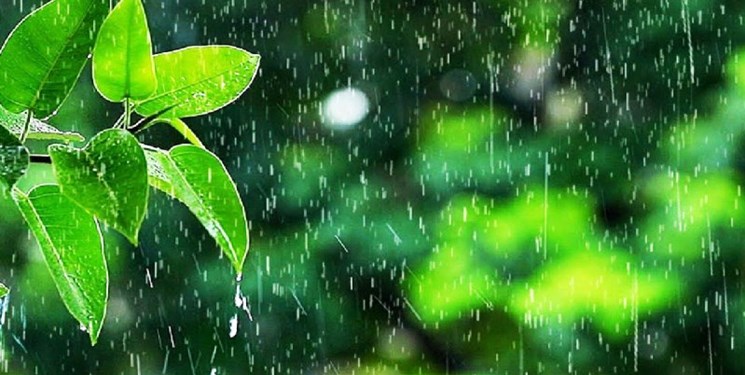 بارش باران و کاهش دما در بیشتر استانها/ مازندران بارانی میشود