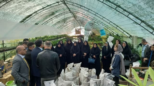 برگزاری كلاس آموزشی و ترویجی دوره مهارتی کشت گلخانهای در محمودآباد