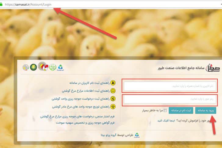 جوجهریزی 3 میلیون قطعهای در محمودآباد/ بهرهبرداران در سامانه سماصط ثبتنام کنند