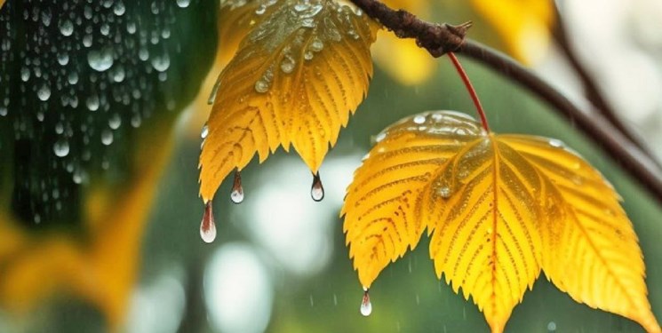 باران، مهمان روزهای ابتدایی هفته آینده در مازندران