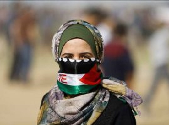 کودکیاش، پرواز کرد