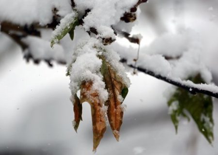 باران و برف در راه مازندران