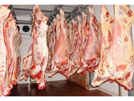 زنجیره تولید گوشت قرمز در مازندران راهاندازی میشود