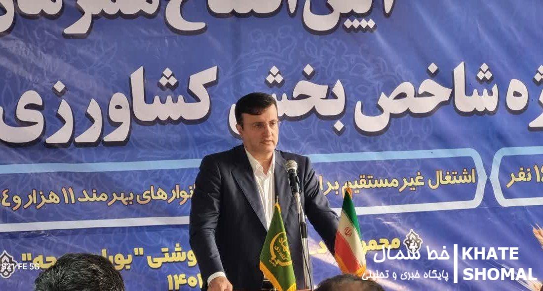 پایداری نسبی بازار مرغ/ قیمت برنج هفته آینده اعلام میشود
