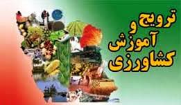 انتقال دانش و یافتههای تحقیقاتی به بیش از پنج هزار بهرهبردار محمودآبادی