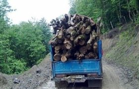 خودروی حامل چوب جنگلی قاچاق به مقصد نرسيد