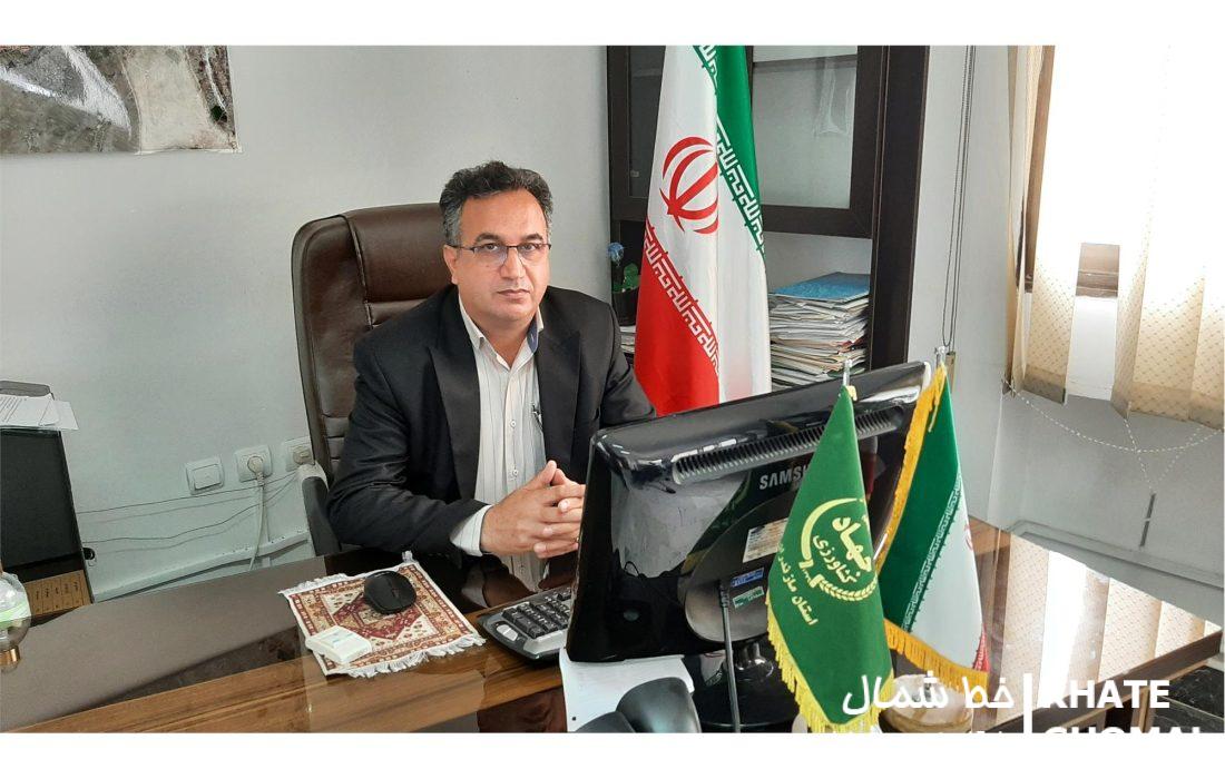 رونق کشاورزی در محمودآباد؛ برداشت سالانه ۱۷۱ هزار تن محصول زراعی و باغی