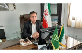 رونق کشاورزی در محمودآباد؛ برداشت سالانه ۱۷۱ هزار تن محصول زراعی و باغی