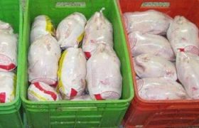 توزیع مرغ منجمد در محمودآباد؛ تلاشی برای مهار گرانی