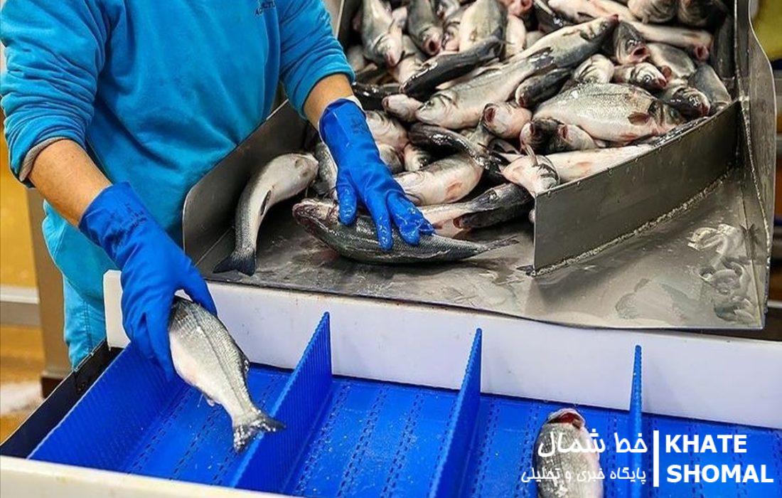حوزه شیلات باید ارزآور و اشتغالزا باشد