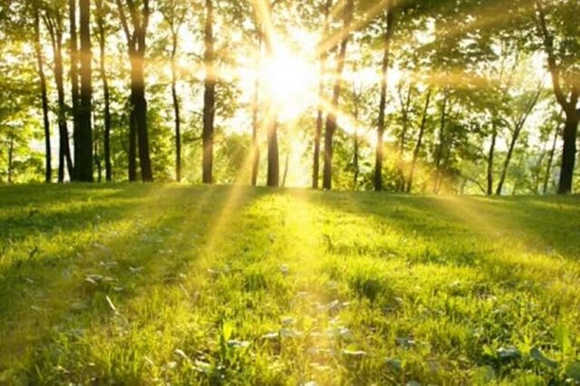 تداوم هوای گرم در مازندران