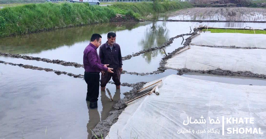 توصیههای علمی و فنی کارشناسان به کشاورزان