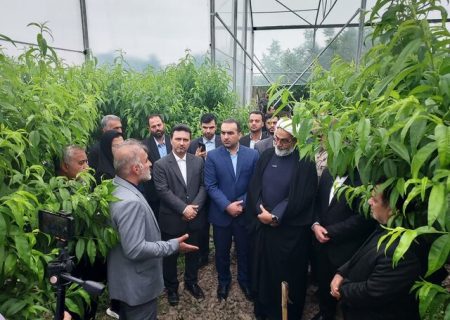 درباره استمهال تسهیلات به کشاورزان کمک شود