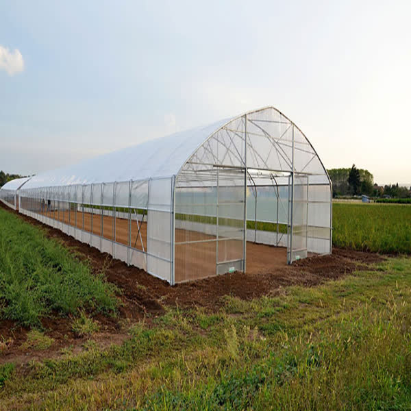 تولید سالانه ۳۵ میلیون واحد گل و گیاه در محمودآباد