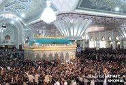 اعزام ۱۰ هزار زائر مازندرانی به مراسم ارتحال امام‌(ره)