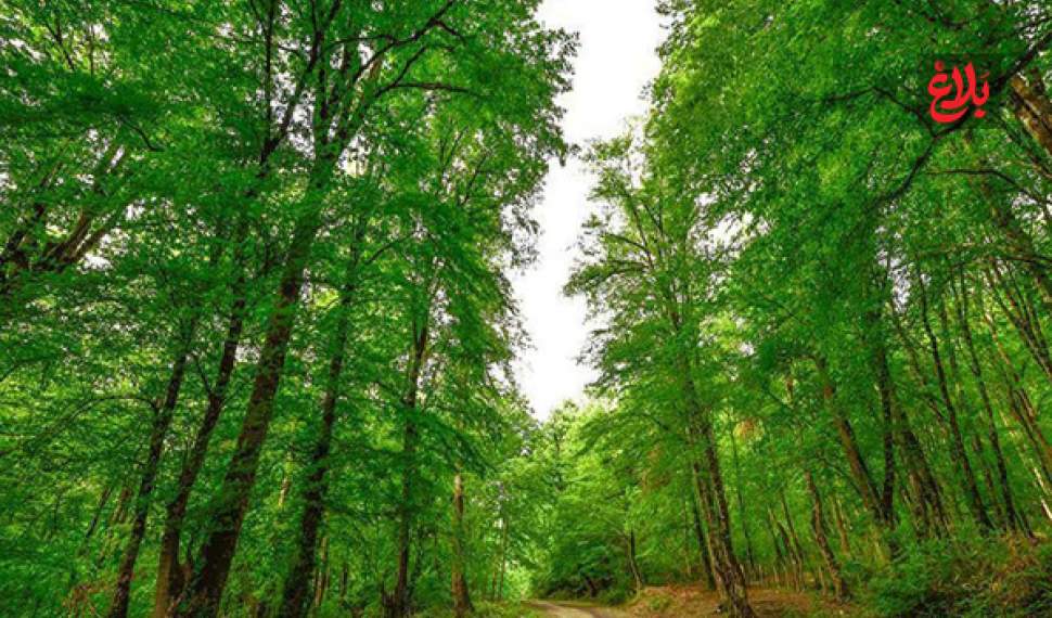 جاده بلیران با دستور قضایی بازگشایی شد
