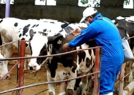 هشدار فوری دامپزشکی محمودآباد درخصوص پیشگیری از شیوع تب برفکی