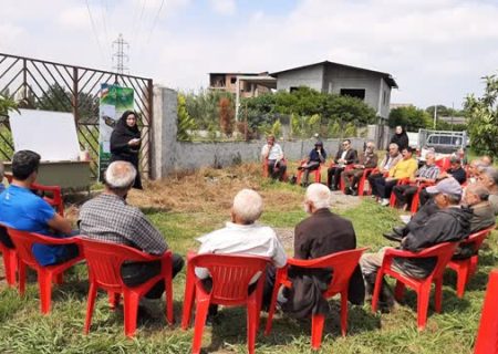 برگزاری ۸۰ دوره و کارگاه ترویجی برای کشاورزان پیشرو در محمودآباد