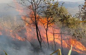 از بررسی دقیق حریق‌ها تا تحقق آرزوی ۱۶ ساله