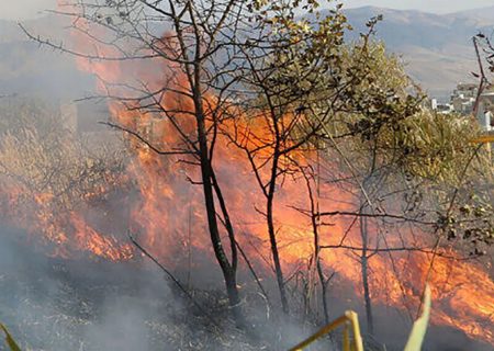 از بررسی دقیق حریق‌ها تا تحقق آرزوی ۱۶ ساله