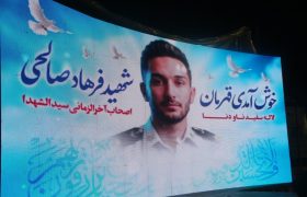 محمودآباد به احترام شهید سرافراز ناوشکن دنا قیام کرد