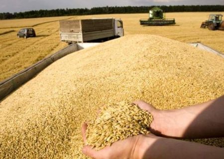 صیانت از دسترنج گندم‌کاران در فصل برداشت