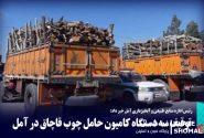 توقیف ۳ دستگاه کامیون چوب قاچاق در آمل