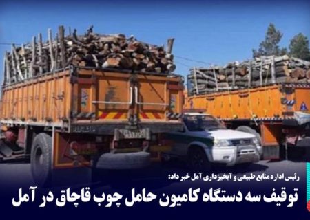 توقیف ۳ دستگاه کامیون چوب قاچاق در آمل