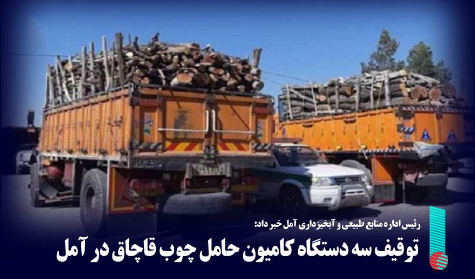 توقیف ۳ دستگاه کامیون چوب قاچاق در آمل
